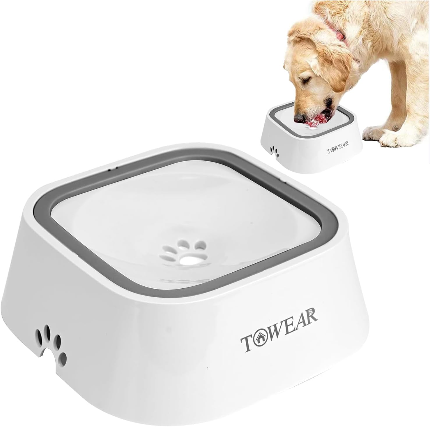 Stop the Mess! Anti-Splash Dog Water Bowl with Slow-Feeding Floating Disk