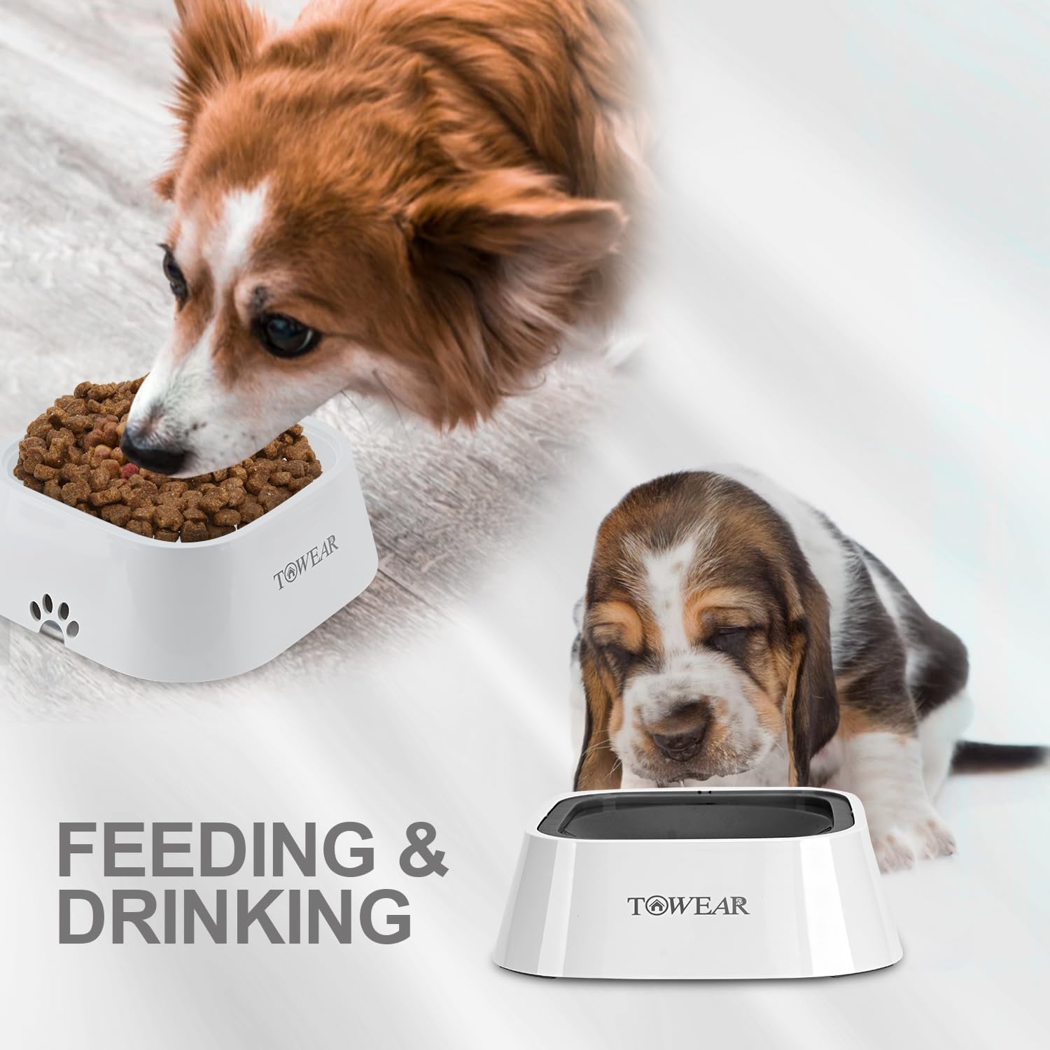 Stop the Mess! Anti-Splash Dog Water Bowl with Slow-Feeding Floating Disk