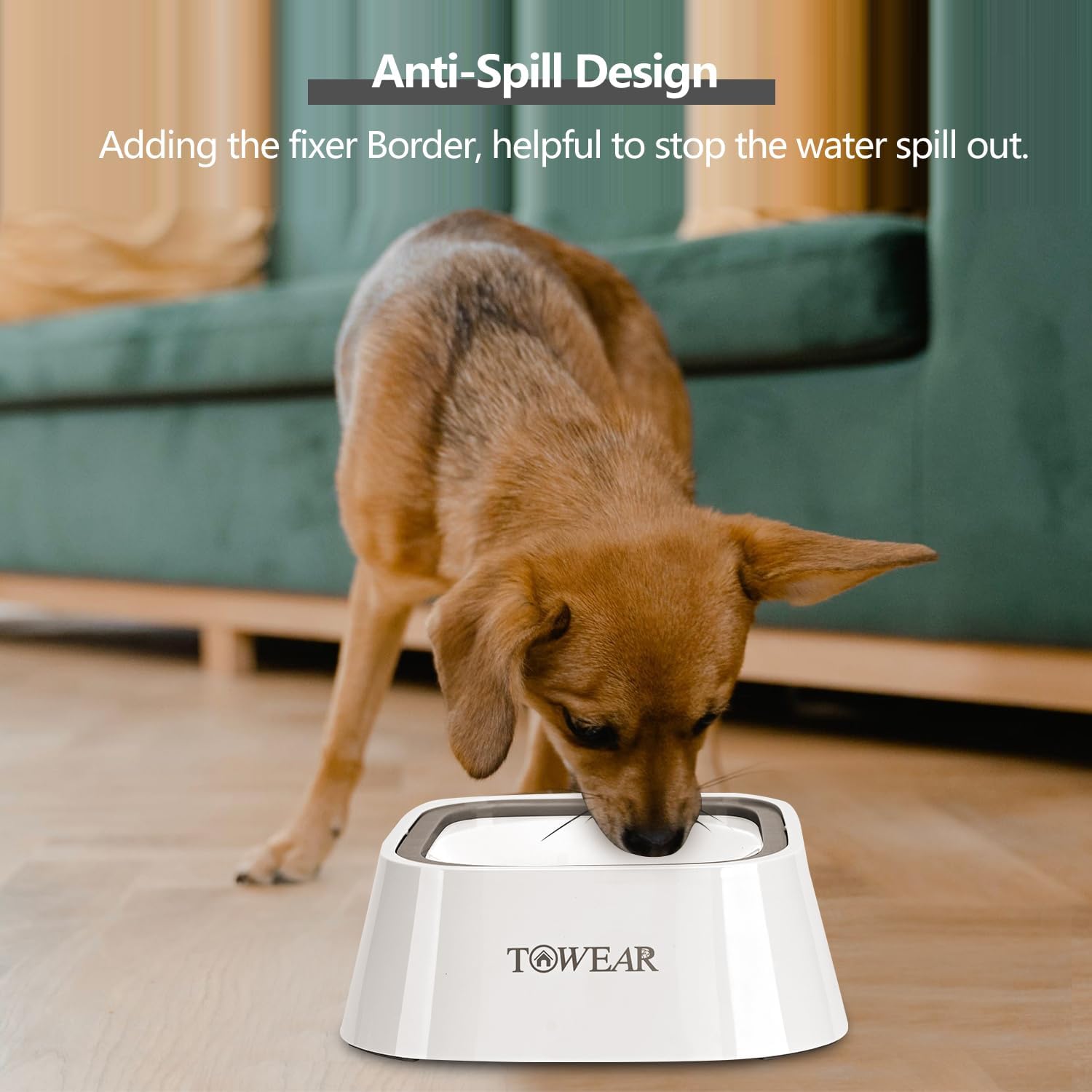 Stop the Mess! Anti-Splash Dog Water Bowl with Slow-Feeding Floating Disk