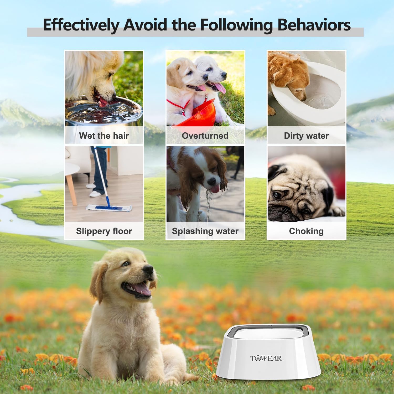 Stop the Mess! Anti-Splash Dog Water Bowl with Slow-Feeding Floating Disk
