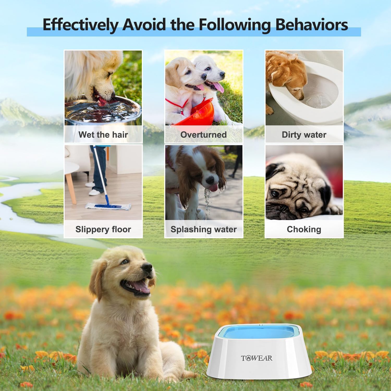 Stop the Mess! Anti-Splash Dog Water Bowl with Slow-Feeding Floating Disk