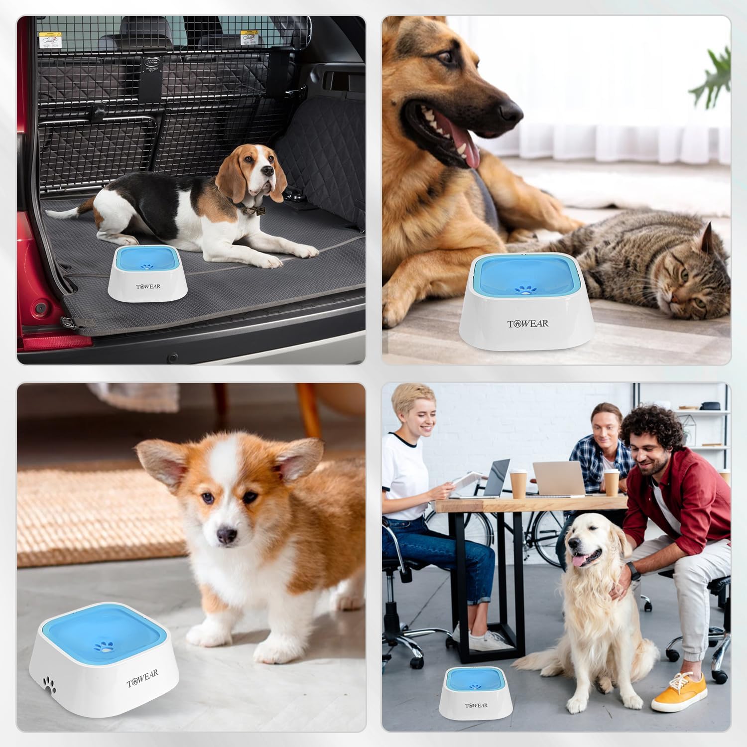 Stop the Mess! Anti-Splash Dog Water Bowl with Slow-Feeding Floating Disk