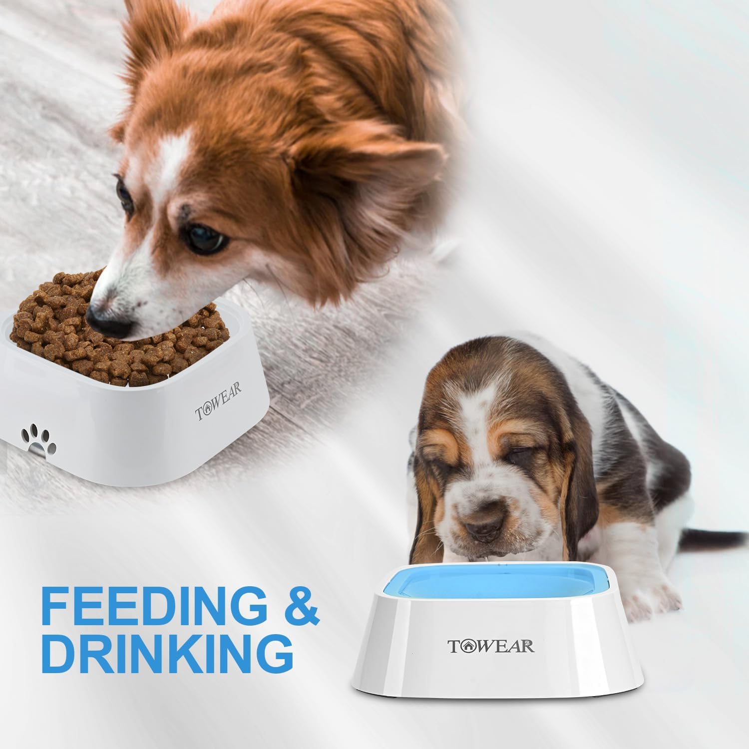 Stop the Mess! Anti-Splash Dog Water Bowl with Slow-Feeding Floating Disk