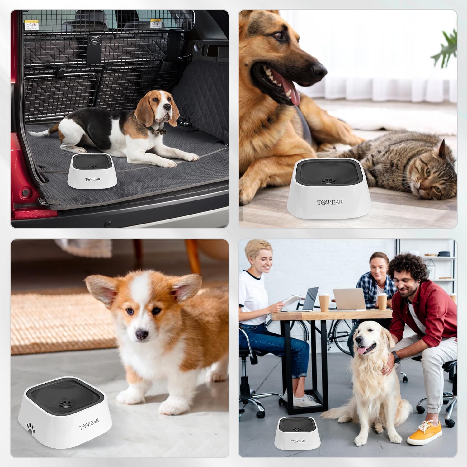 Stop the Mess! Anti-Splash Dog Water Bowl with Slow-Feeding Floating Disk
