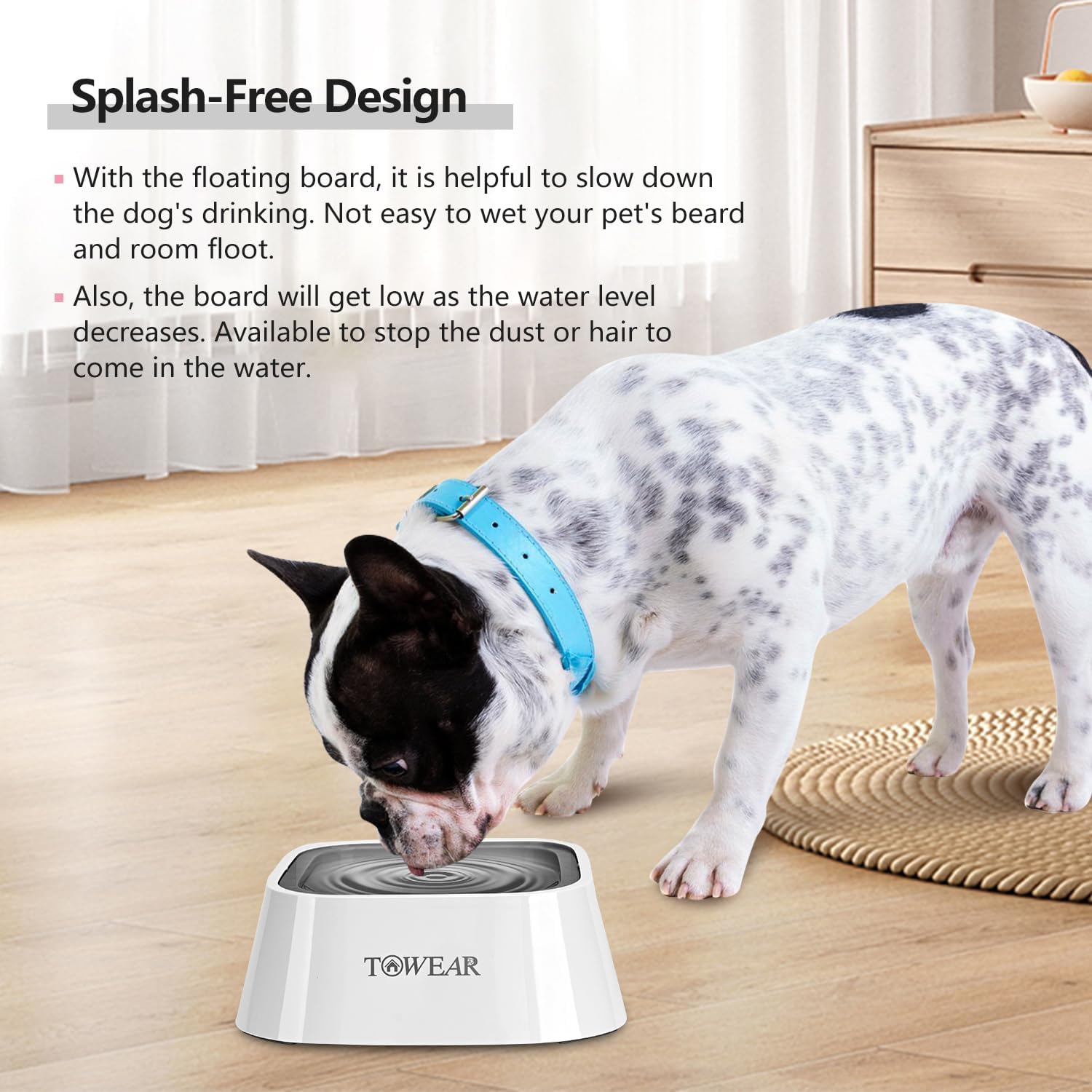 Stop the Mess! Anti-Splash Dog Water Bowl with Slow-Feeding Floating Disk