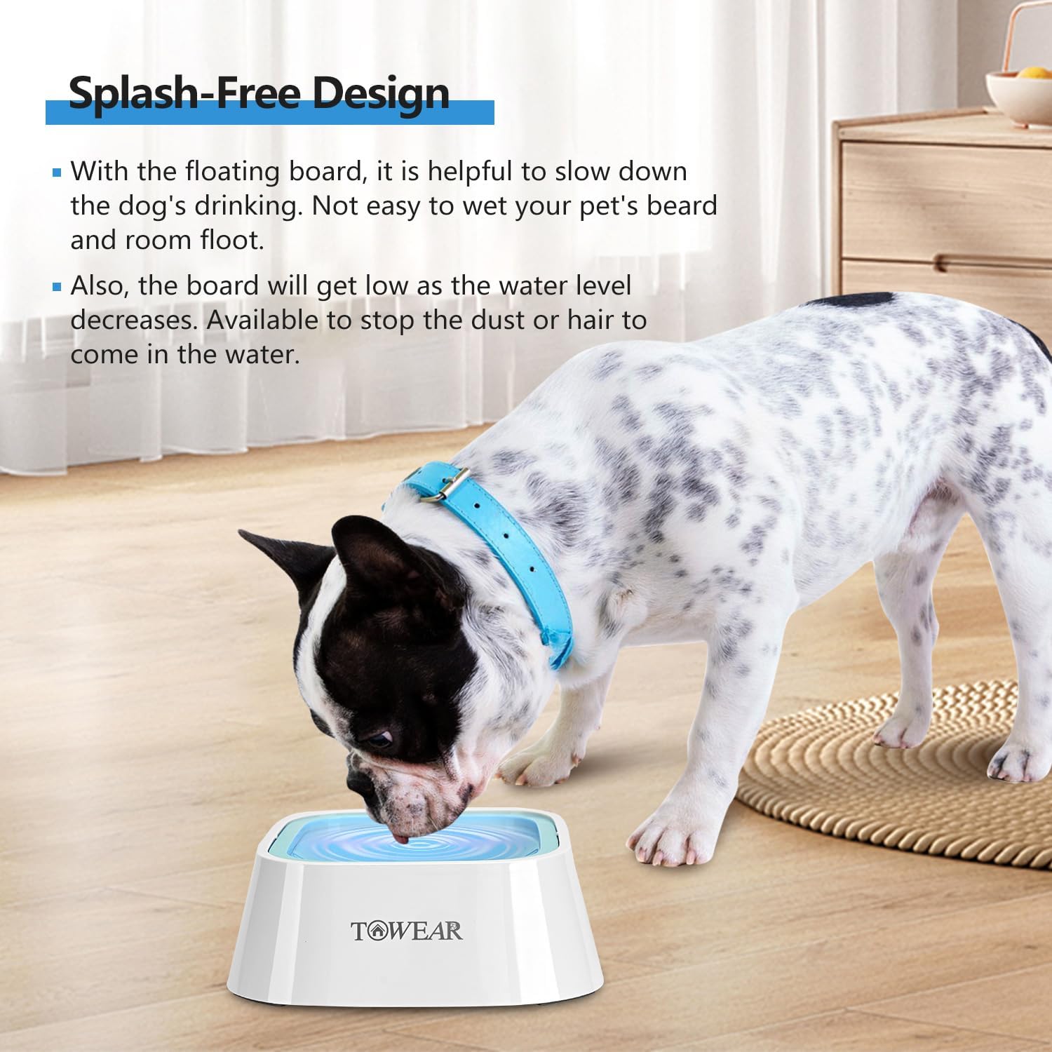 Stop the Mess! Anti-Splash Dog Water Bowl with Slow-Feeding Floating Disk