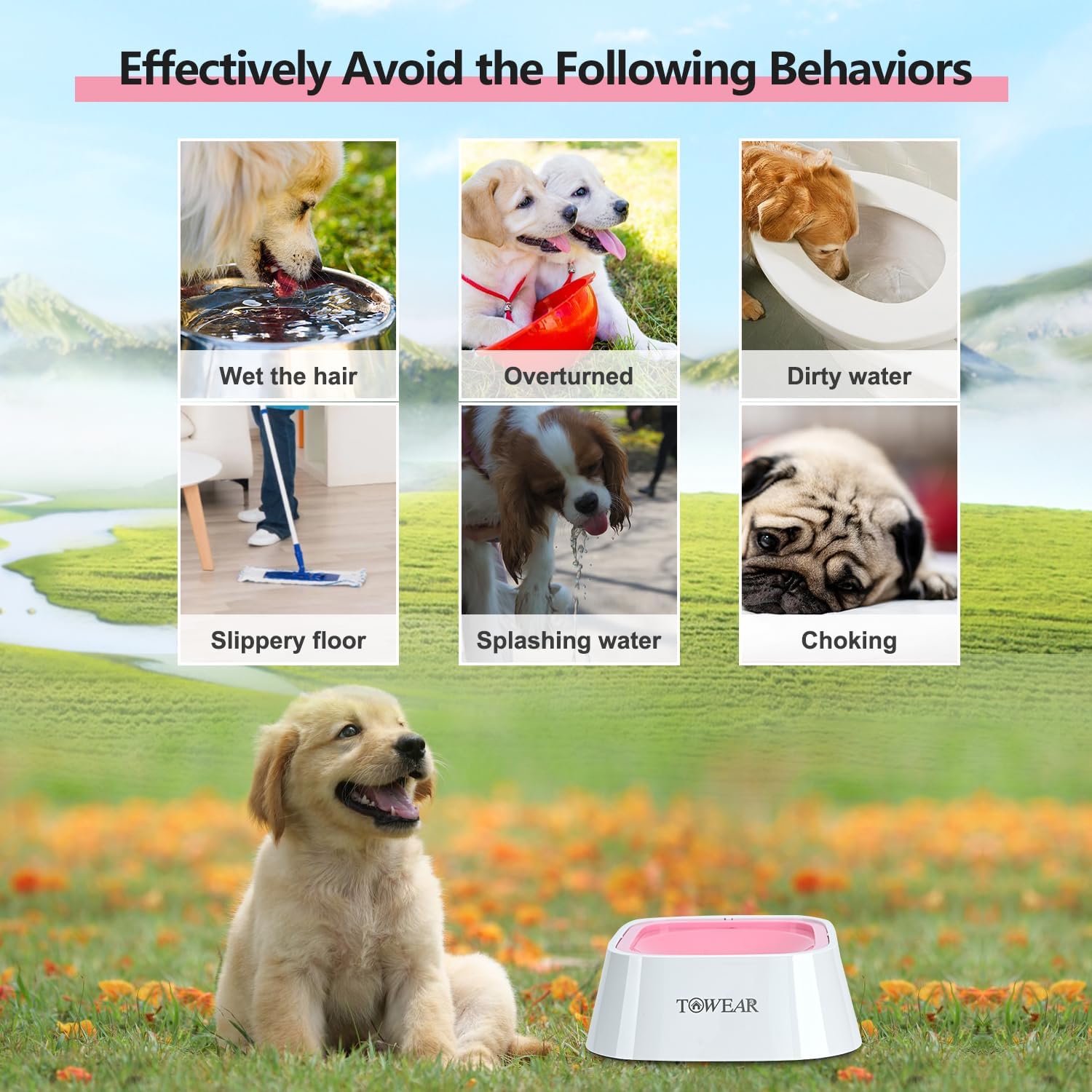 Stop the Mess! Anti-Splash Dog Water Bowl with Slow-Feeding Floating Disk