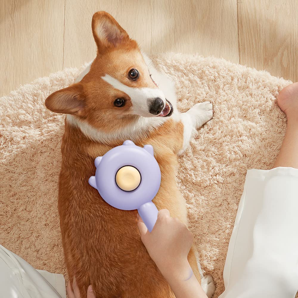 Self-Cleaning Magic Pet Brush for Cats & Dogs Gently Removes Fur and Eliminates Mats in Seconds