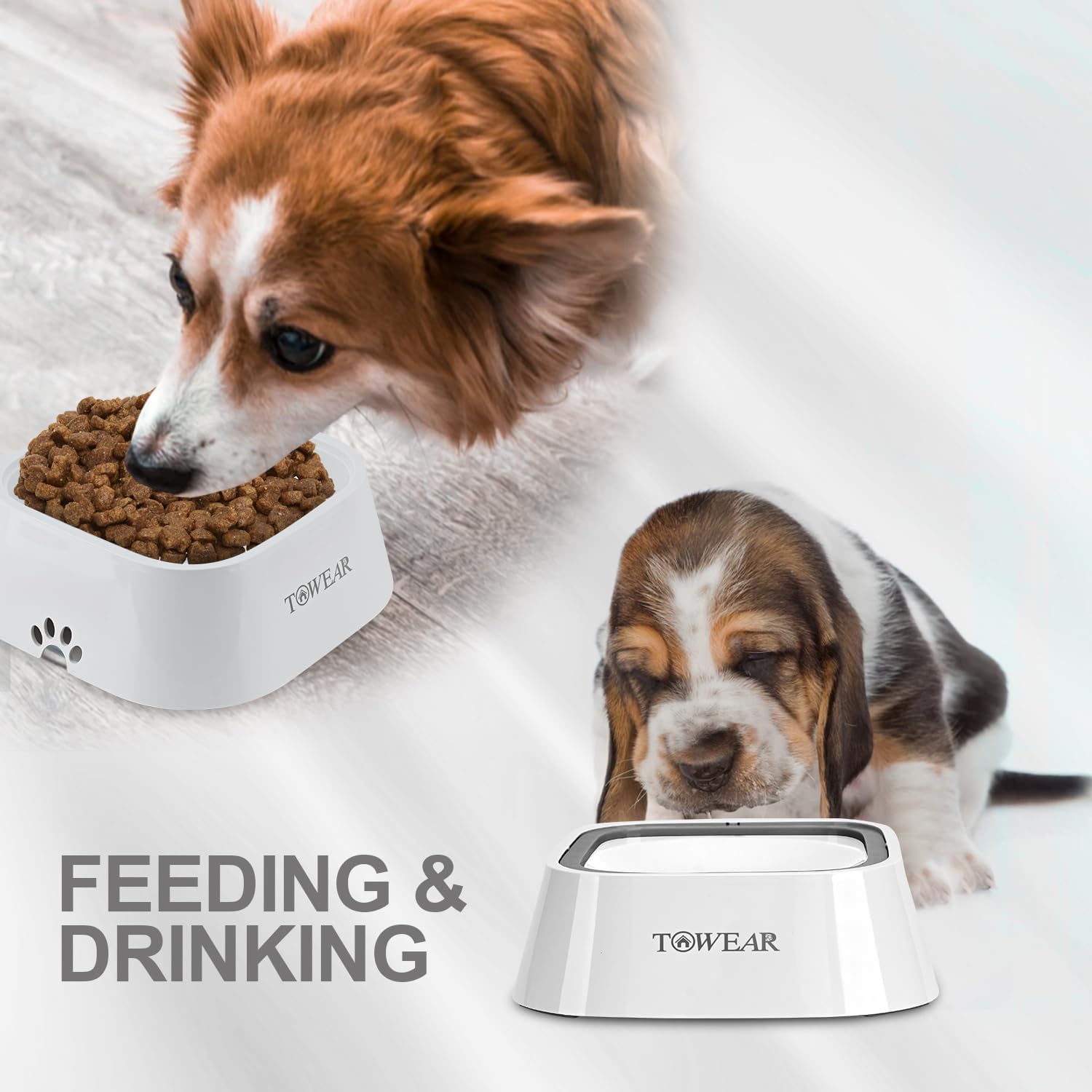 Stop the Mess! Anti-Splash Dog Water Bowl with Slow-Feeding Floating Disk