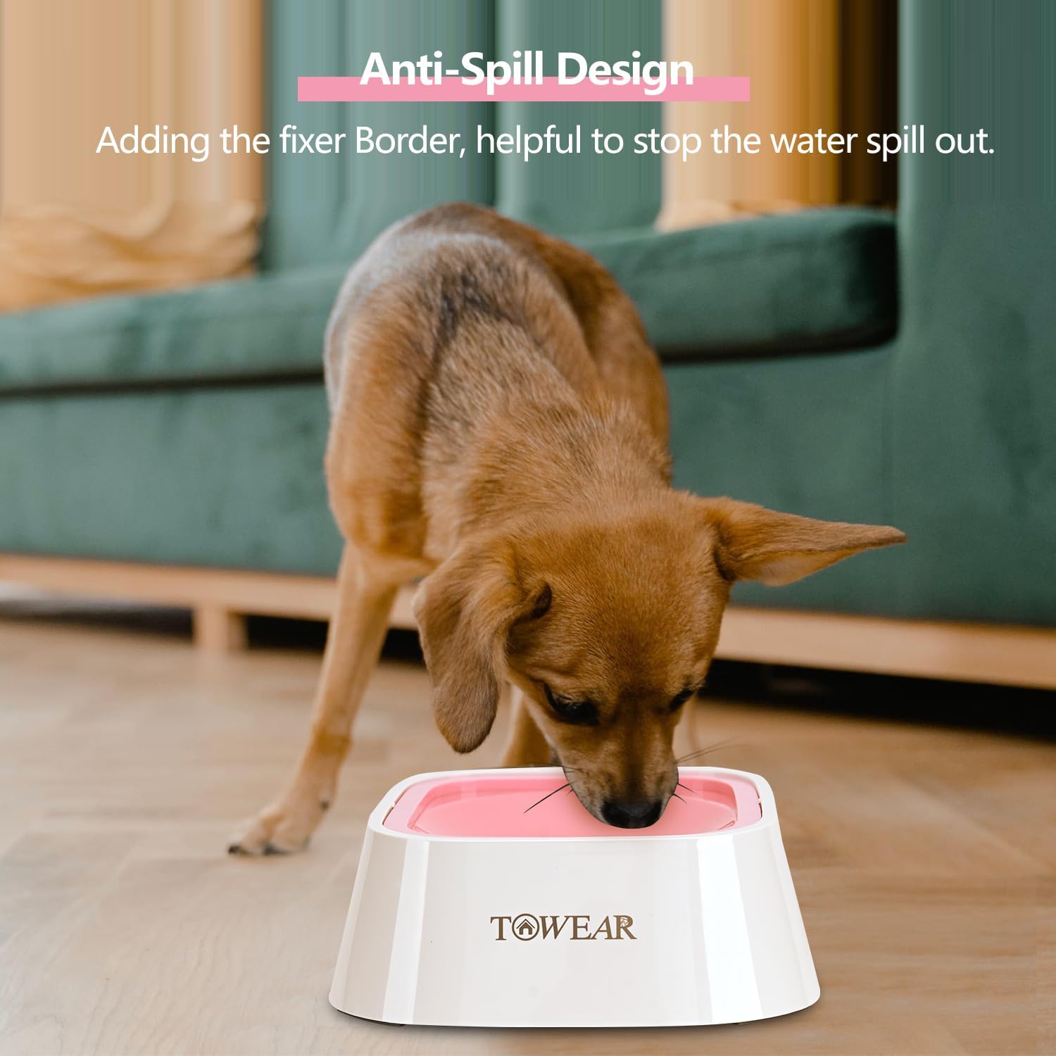 Stop the Mess! Anti-Splash Dog Water Bowl with Slow-Feeding Floating Disk