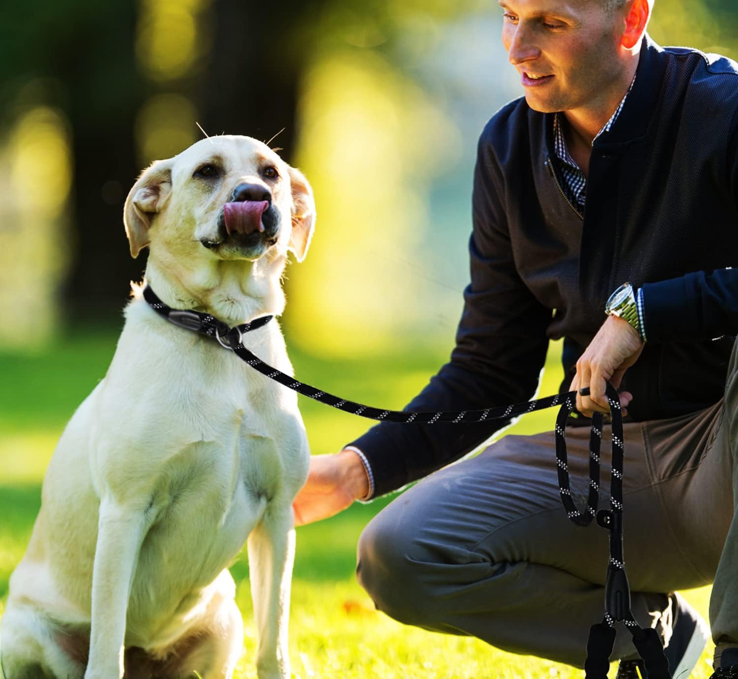 Padded & Reflective: 6FT Heavy-Duty Rope Dog Leash for Secure, Comfortable Walks