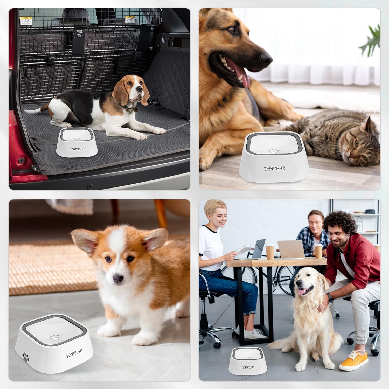 Stop the Mess! Anti-Splash Dog Water Bowl with Slow-Feeding Floating Disk