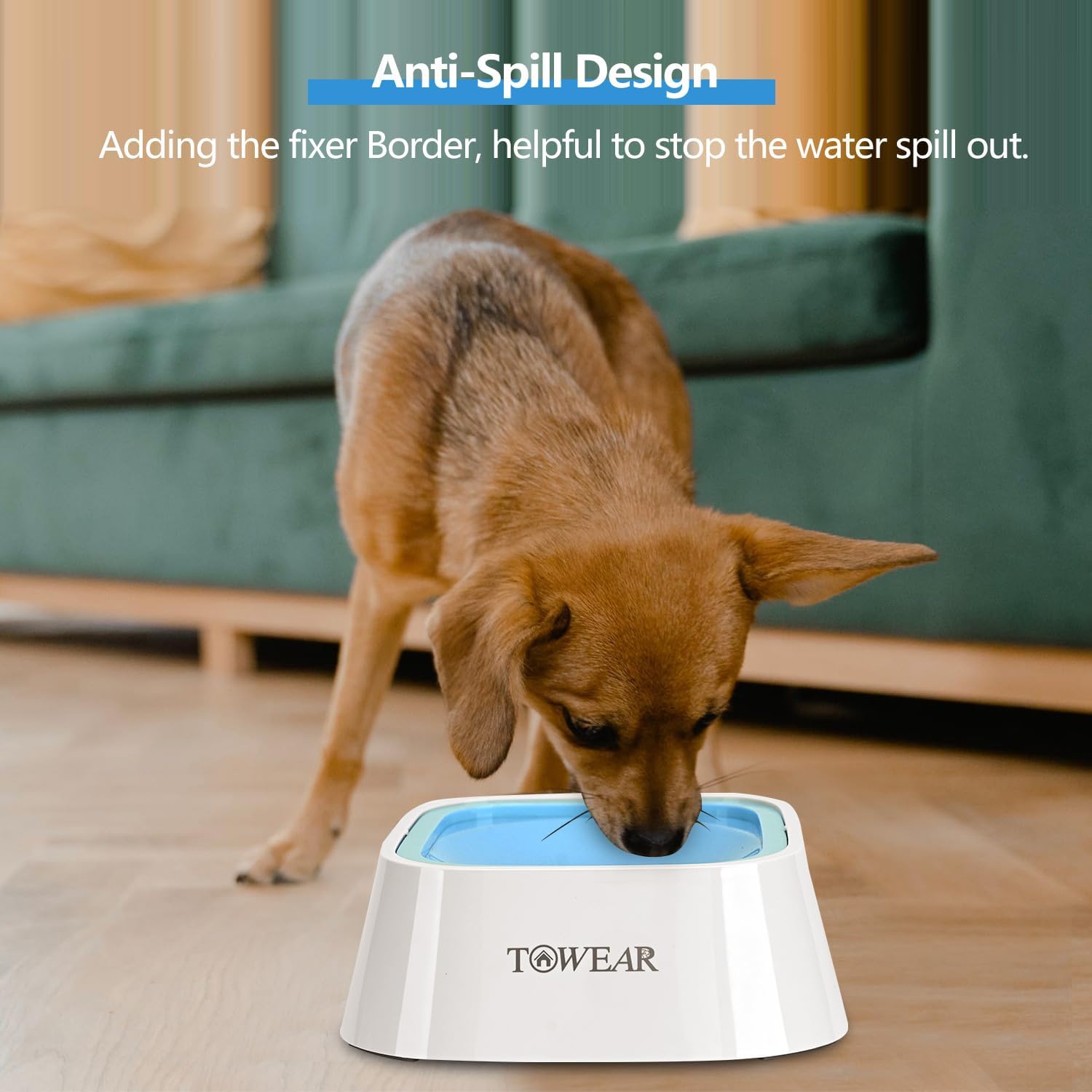 Stop the Mess! Anti-Splash Dog Water Bowl with Slow-Feeding Floating Disk