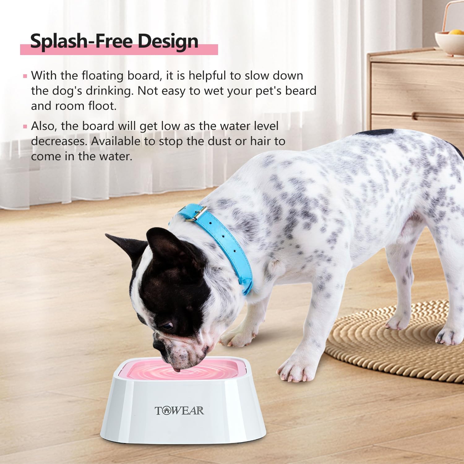 Stop the Mess! Anti-Splash Dog Water Bowl with Slow-Feeding Floating Disk