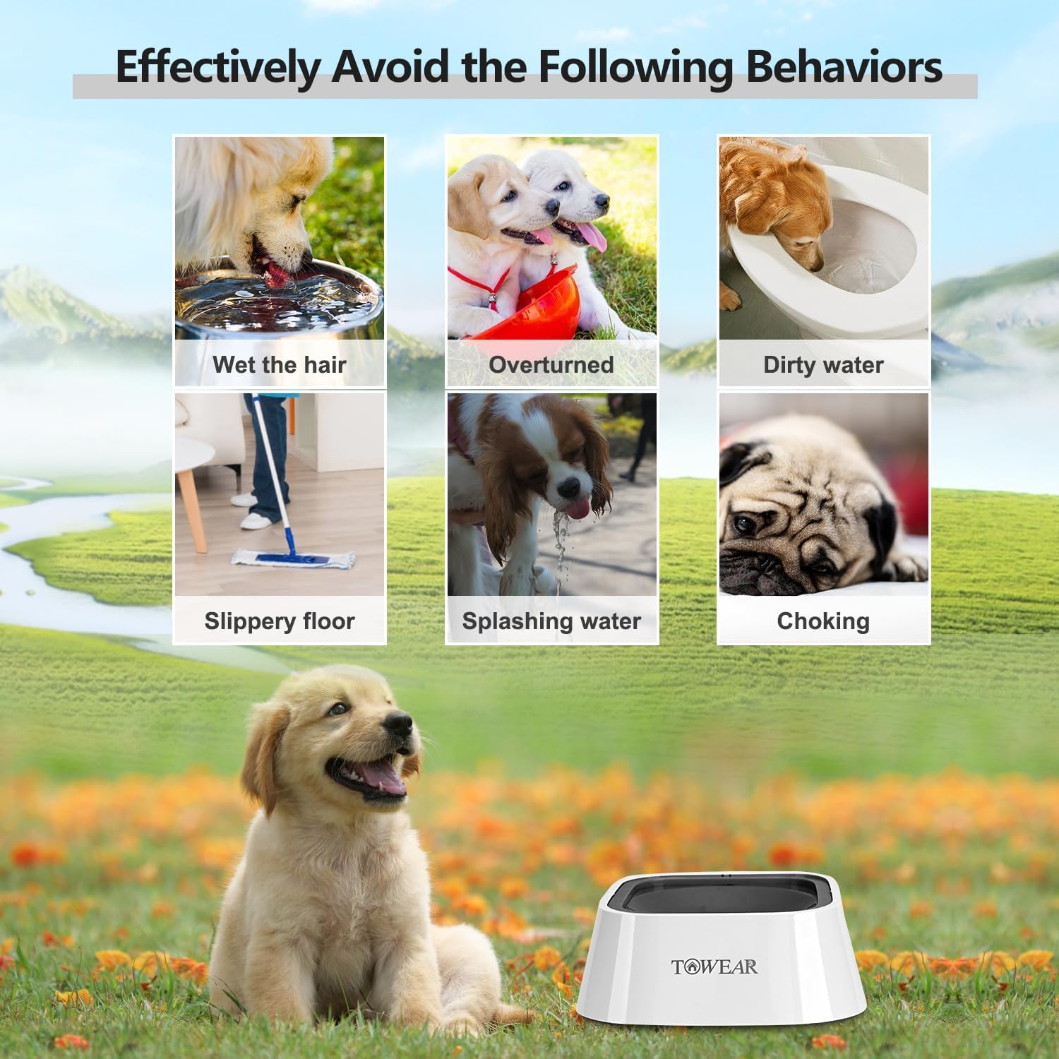 Stop the Mess! Anti-Splash Dog Water Bowl with Slow-Feeding Floating Disk