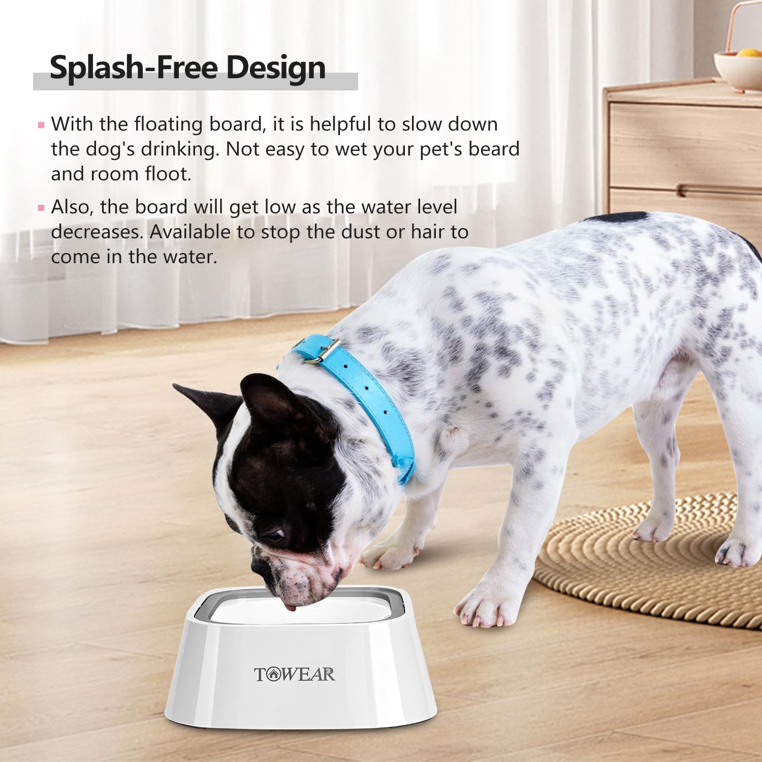 Stop the Mess! Anti-Splash Dog Water Bowl with Slow-Feeding Floating Disk