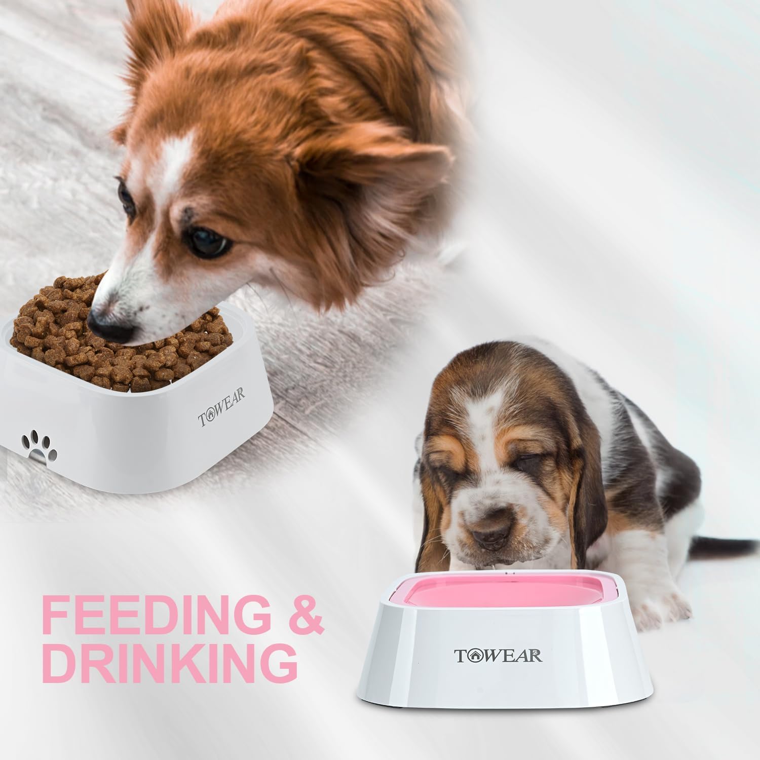 Stop the Mess! Anti-Splash Dog Water Bowl with Slow-Feeding Floating Disk