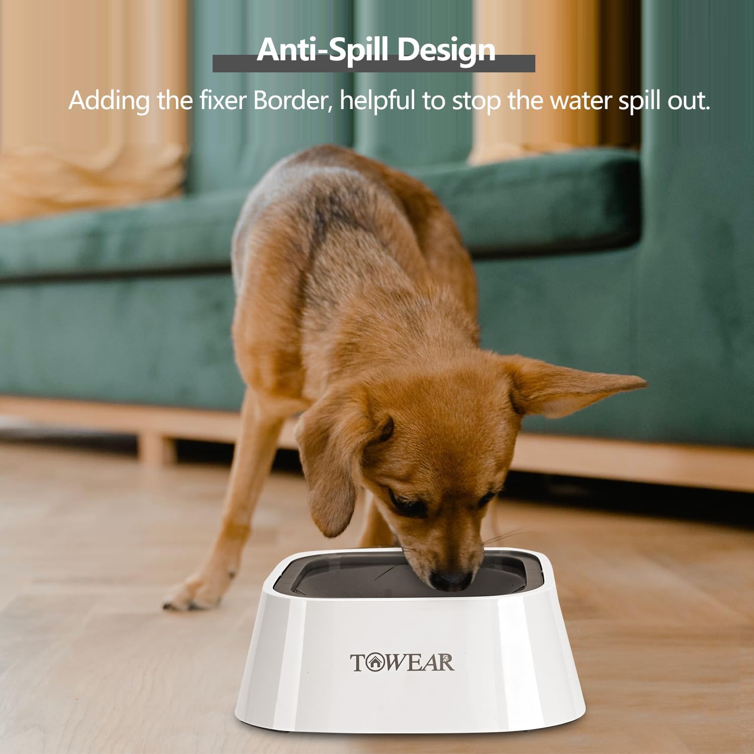 Stop the Mess! Anti-Splash Dog Water Bowl with Slow-Feeding Floating Disk