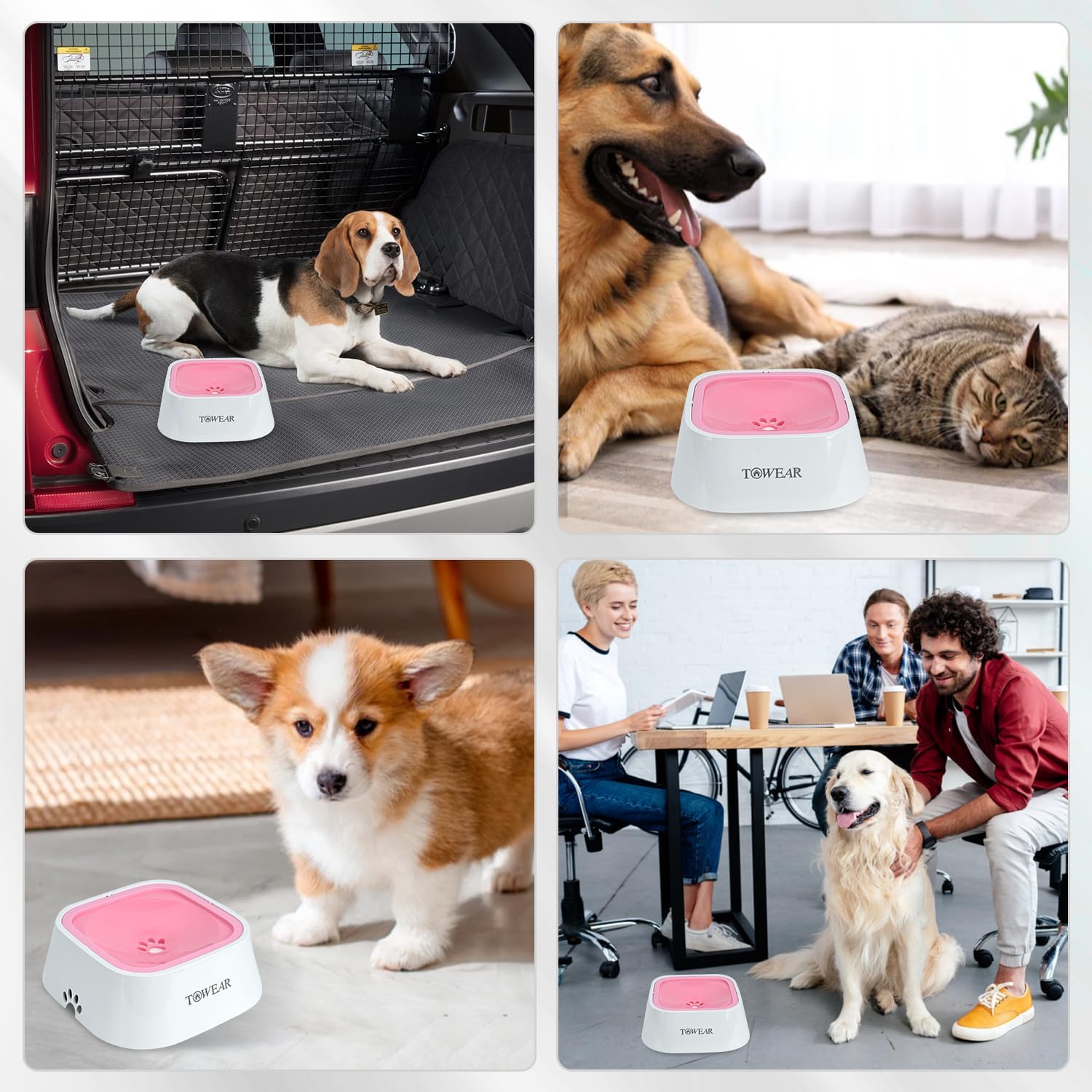 Stop the Mess! Anti-Splash Dog Water Bowl with Slow-Feeding Floating Disk