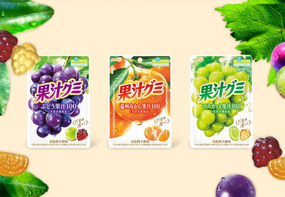 Japanese Gummy Assortment Gift Box