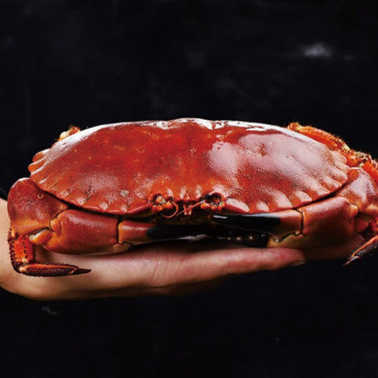 Whole Cooked Red Crab – Tender, Meaty, Premium Seafood Selection